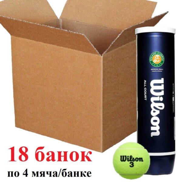 Мячи для тенниса Wilson Roland Garros AllCourt - ящик (4 мяча)
