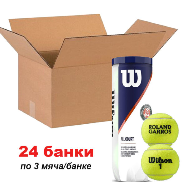 Мячи для тенниса Wilson Roland Garros AllCourt - ящик (3 мяча)