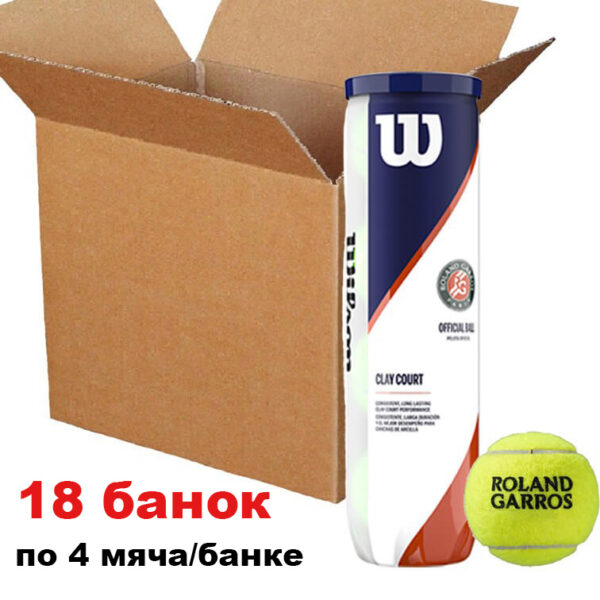 Мячи для тенниса Wilson Roland Garros Clay Court - ящик (4 мяча)