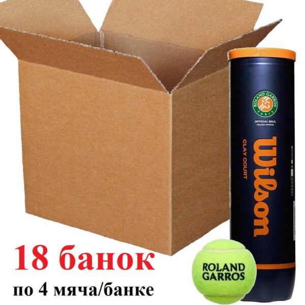 Мячи для тенниса Wilson Roland Garros Clay Court - ящик (4 мяча)